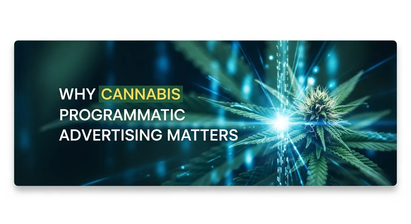 Steps to launch cannabis programmatic TV advertising campaigns effectively