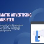 Programmatic Advertising Anbieter Your Complete Guide to Providers
